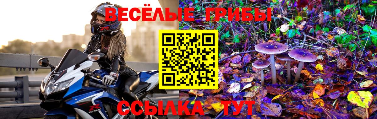 Галлюциногенные грибы ЛСД Вятские Поляны
