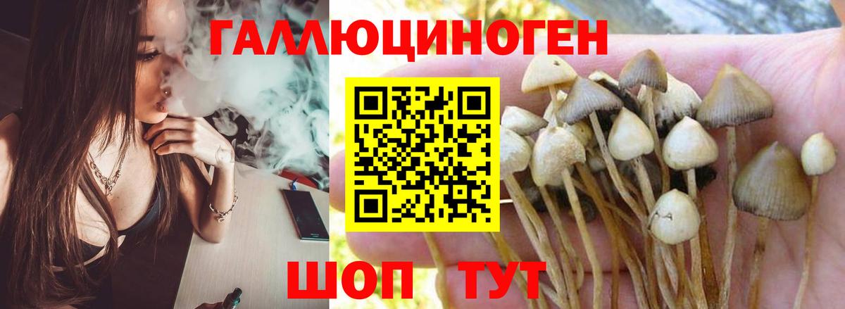 Вятские Поляны  Галлюциногенные грибы мицелий  где можно купить наркотик  Вход с VPN 